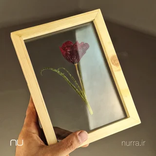 قاب گل جاودان شقایق سرخ